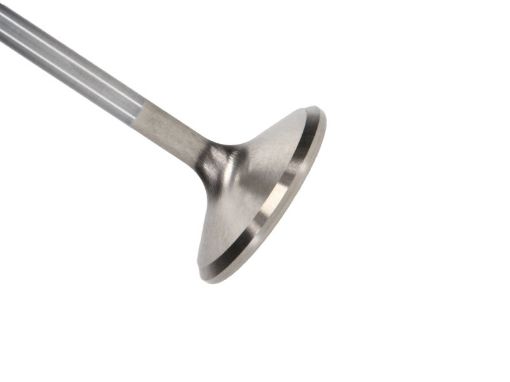 Kuva: Manley Ford 4.6L 37.5mm Diameter 117.35mm Length Race Master Exhaust Valves (Set of 8)