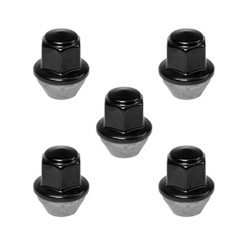 Kuva: Ford Racing 15 - 17 Mustang Black Lug Nut Kit (5 Lug Nuts)