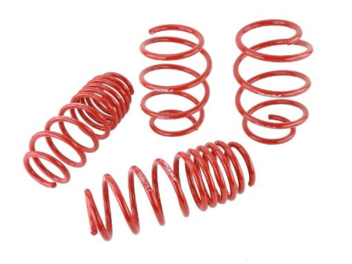 Kuva: Skunk2 16 - 17 Honda Civic Lowering Springs (1.375in - 1.25in) (Set of 4)