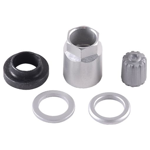 Kuva: Schrader TPMS Service Pack - Beru Stems (No Valve) - 25 Pack